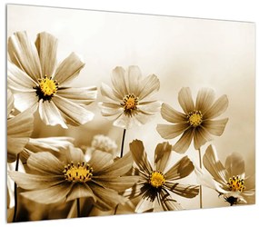 Virágos képek (70x50 cm)