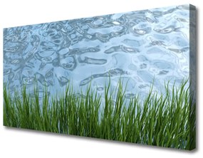 Vászonkép Víz Grass Nature 100x50 cm