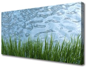 Vászonkép Víz Grass Nature 140x70 cm
