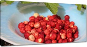 Vászonkép 115x55 Erdei szintek