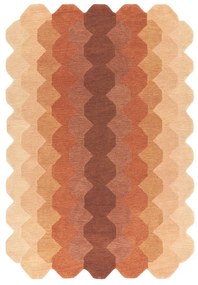 Téglavörös gyapjú szőnyeg 160x230 cm Hive – Asiatic Carpets