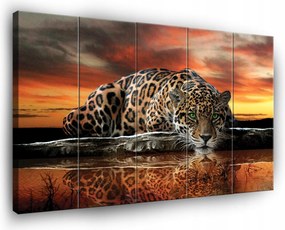 Tigris Szafari Vászonkép Falra 5 Részes Nappali Hálószoba 150x100