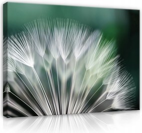 Vászonkép Pitypang Virágok Modern Vászon Fal Hálószoba Nappali 100x70