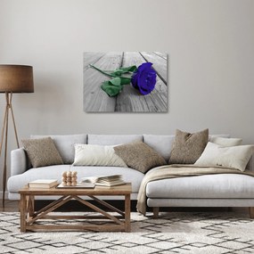 Üveg kép - Kék rózsa zöld szárral (70x50 cm)