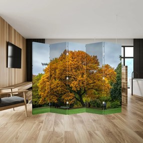 Paraván - Fa (210x170 cm)