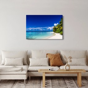 Egy trópusi tengerpart képe (90x60 cm)
