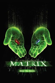 Művészi plakát Matrix - Choose your path, (26.7 x 40 cm)