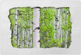 Poszter 60x40 Tavaszi zöld