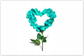 Poszterek 120x80 Türkiz rózsa