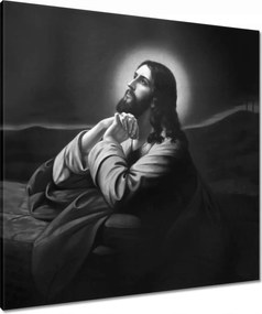 Vászonkép 80x80 Jézus imája a kertben