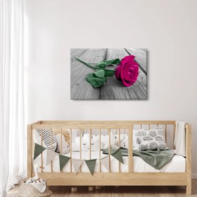 Kép - Rózsaszín rózsa zöld szárral (90x60 cm)
