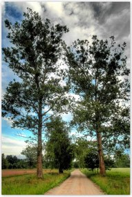 Poszterek 80x120 Vidéki út