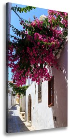 Vászonfotó Rhodes görögország ocv-114529203