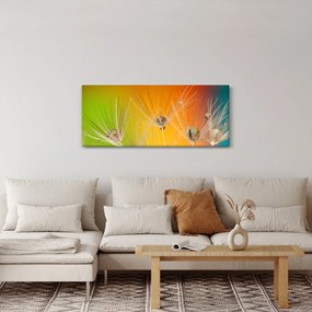 Cseppek a növényen képe (120x50 cm)
