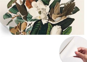 Modern öntapadós fotótapéta Mosható Madarak magnólia 250x104 cm