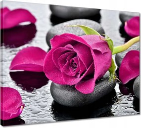 Vászonkép 50x40 Rózsaszín rózsa köveken