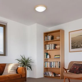 Rabalux 5421 - Mennyezeti lámpa UFO 2xE27/60W/230V