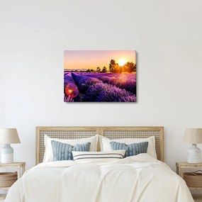 A levendula mező képe (70x50 cm)