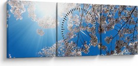 Kép - Cseresznyevirág (órával) (90x30 cm)
