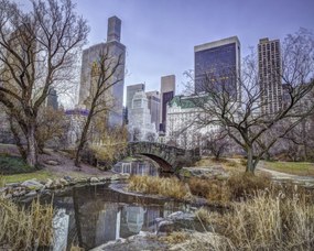 Poszter 50x40cm Központi park Manhattan panorámával 2, Assaf Frank