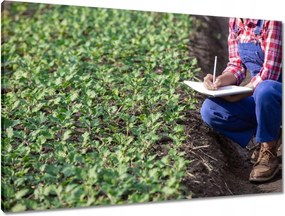 Vászonkép 90x60 Modern mezőgazdaság