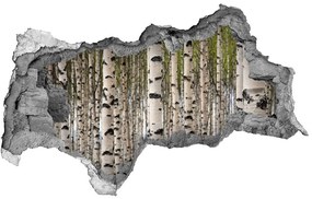 3d lyuk fal dekoráció Nyírfa erdő nd-b-31867188