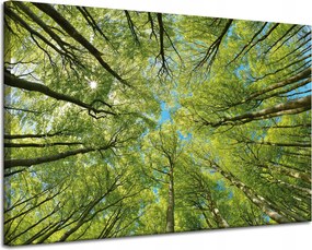 Vászonkép Levelek Fák Zöld Nap Ég 120x80 cm