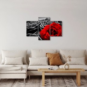 Kép - Rózsa virágok (90x60 cm)