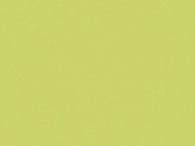 Babzsák 180x140 cm Xl (lime). 1009288