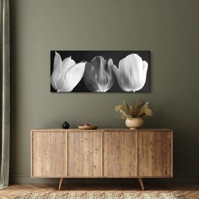 Kép - fekete-fehér tulipán virág (120x50 cm)