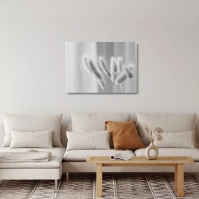 Üveg kép - Nyuszi farok fű (70x50 cm)
