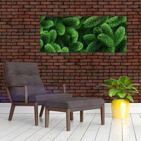 Kép - Tűlevelű gallyak (120x50 cm)