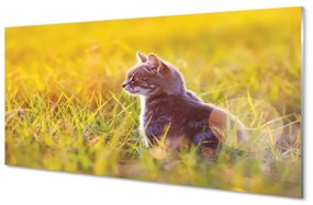 Üvegképek vadászat macska 100x50 cm