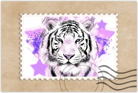 Poszter 60x40 Tigris lila