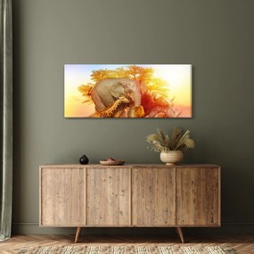 Afrikai állatok képe (120x50 cm)