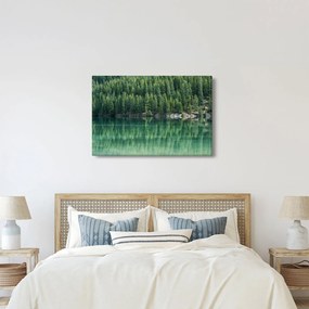 Kép - Tűlevelű a tónál (90x60 cm)