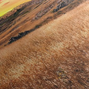 Mező képe (120x50 cm)