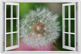 Poszterek 120x80 Pitypang Virág Virágok