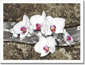 Poszterek keretben 40x30 Fehér orchidea márvány háttér