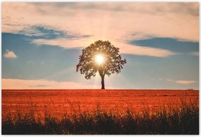 Poszterek 200x135 Kilátás Tájkép