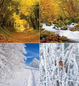 Naptár, fali, CSG Erdeink világa (NCFN084)