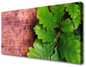 Canvas kép Oak Tree Leaves 100x50 cm