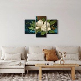 Kép - Martin Johnson Heade, Giant Magnolias on a Blue Velvet Cloth, reprodukciók (90x60 cm)