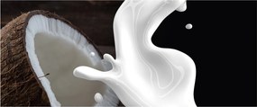Kép - kókusz tej (120x50 cm)