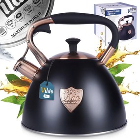 Acél vízforraló fekete gáz főzőlap indukciós 3L