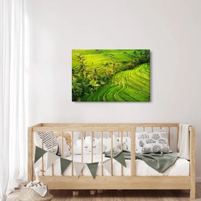 Kép - Rizs teraszok (90x60 cm)