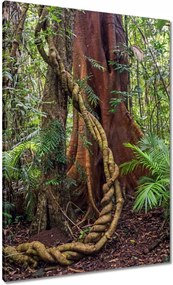 Våszonkép 70x100 Tåjkép Låtvåny