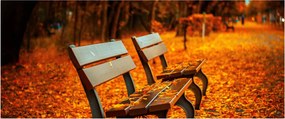 Padok ősszel képe (120x50 cm)