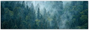 Poszterek 200x66 Erdő a ködben Utazás