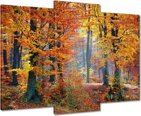 Vászonkép 90x70 Arany ősz